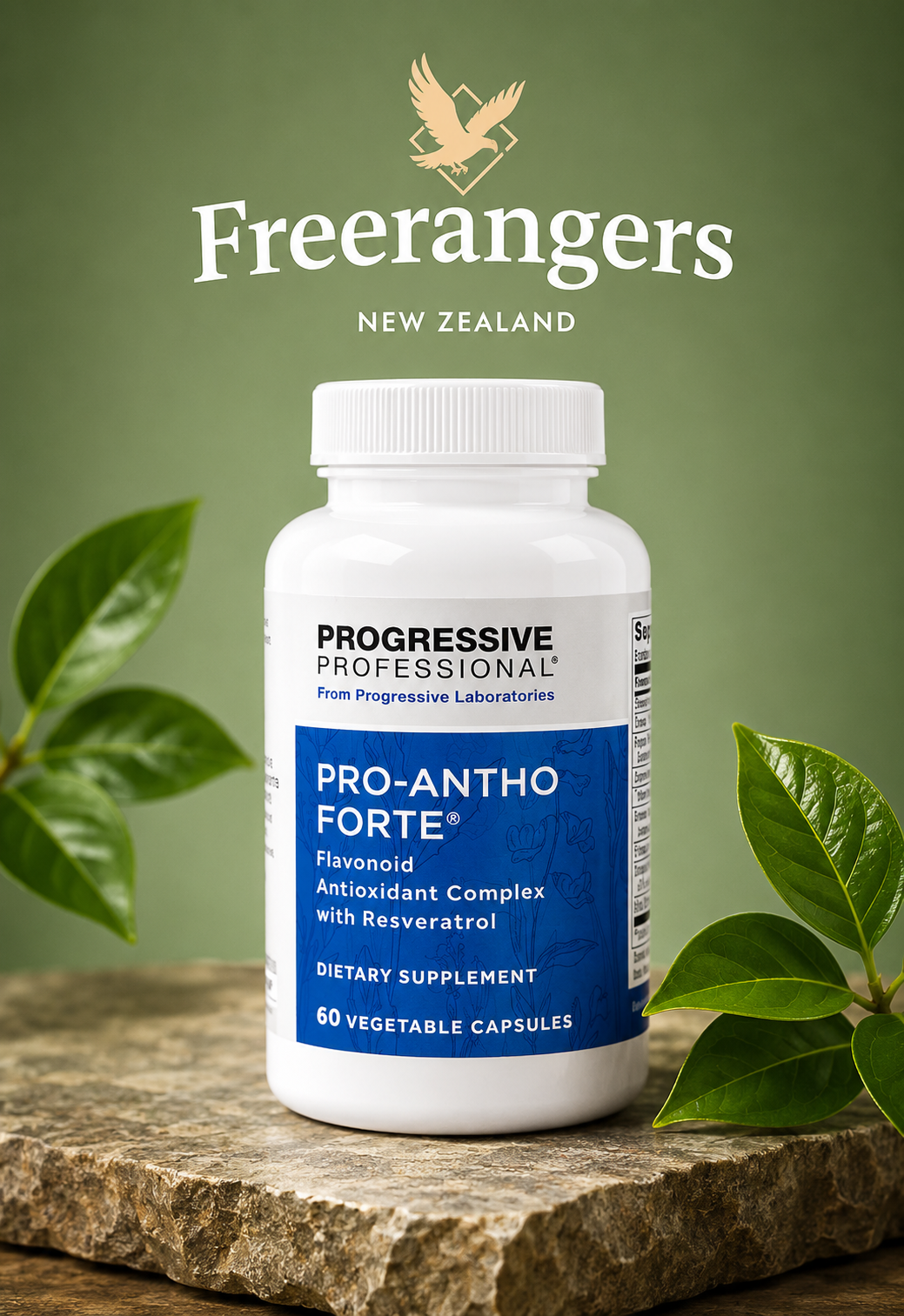 Progressive Professional Pro-Antho Formula Antioxidant & Circulation Support - 60 Capsules