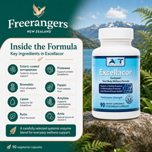AST Excellacor Exclzyme supplement bottle with ingredient highlights including serrapeptase, proteases, bromelain, papain, lipase, amylase, rutin and amla.