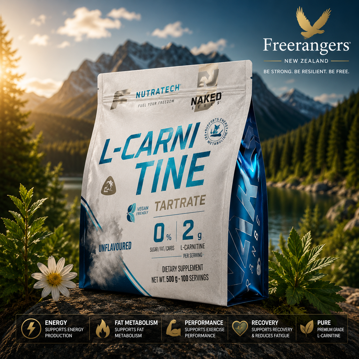 NutraTech Pure L-Carnitine Tartrate Powder Energy & Performance Support - 350g
